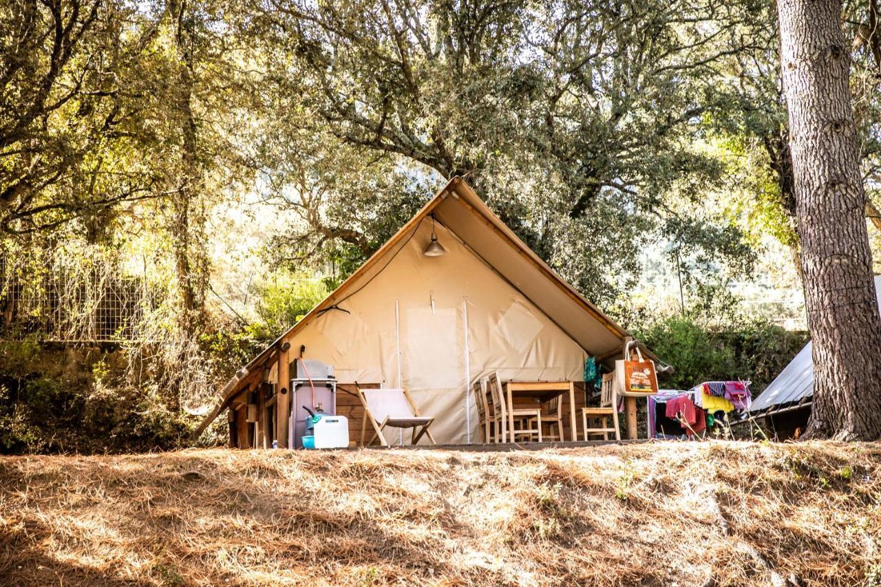Camping Olva *** サルテーヌ エクステリア 写真